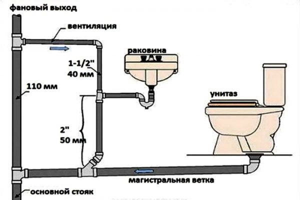 Трехстворчатый клапан располагается в